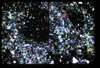 ap1404_07_04