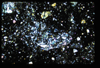 ap1404_07_08