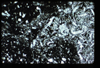 ap1404_07_17