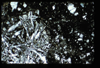 ap1404_08_13