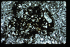 ap1404_08_15