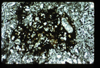 ap1404_08_16