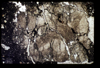 ap1405_01_01
