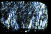 ap1405_01_05