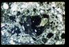 ap1405_02_18