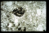ap1405_02_19
