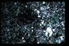 ap1405_02_20