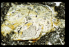 ap1405_03_07