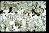 ap1405_03_10