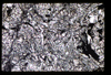ap1405_03_12
