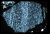 ap1405_04_05