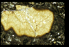 ap1405_04_07