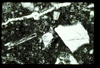 ap1405_04_17