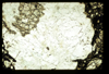 ap1405_05_12