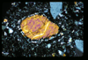 ap1405_06_03