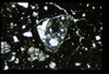 ap1405_06_12