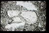 ap1405_07_03