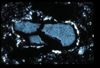 ap1405_07_04