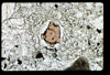 ap1405_07_05