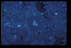 ap1405_07_09