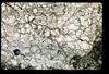 ap1405_07_12