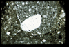 ap1405_08_14