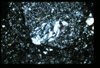ap1405_08_15