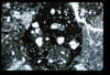 ap1405_08_18