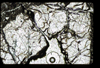 ap1405_09_01