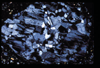 ap1405_09_11