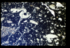 ap1501_01_03