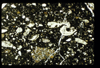 ap1501_01_04