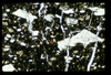 ap1501_01_06