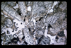 ap1501_02_02