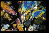 ap1501_02_03