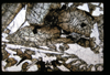 ap1501_02_16