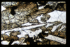 ap1501_02_17