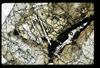 ap1501_02_19