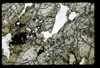 ap1501_03_01