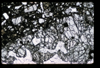 ap1501_03_06