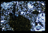 ap1501_03_13