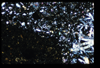 ap1501_03_19