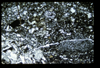 ap1501_03_20