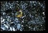 ap1501_04_01