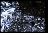ap1501_04_04