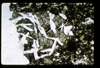 ap1501_04_07