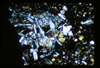 ap1501_04_08
