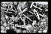 ap1501_04_15
