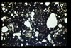 ap1501_04_19