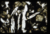 ap1501_05_03
